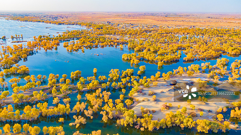 塔里木河的秋图片素材