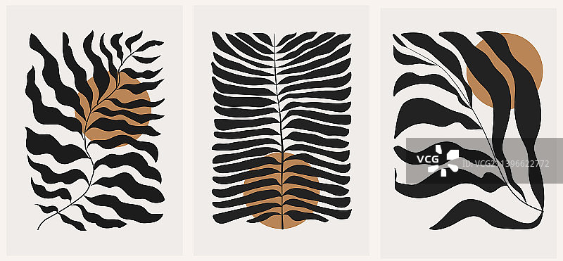 抽象时髦的现代花卉海报图片素材