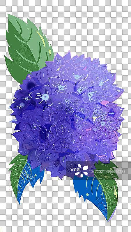 绣球图片素材
