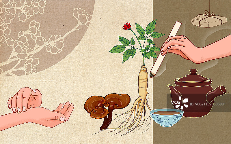 中医中药插画图片素材