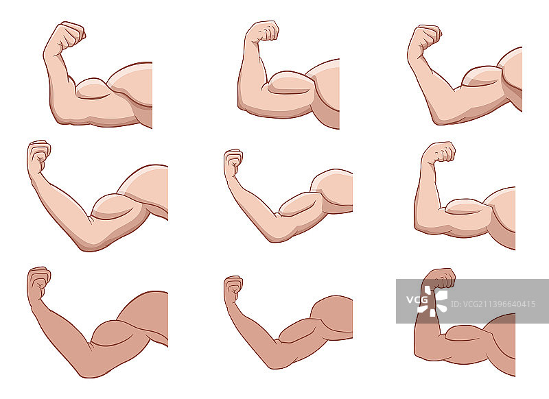 白色背景上分离的肌肉手臂设计图片素材