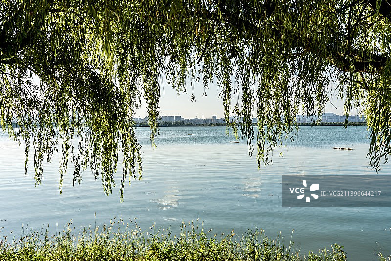 淮北南湖湿地公园风景区图片素材