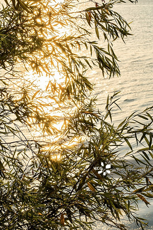 淮北南湖湿地公园风光图片素材