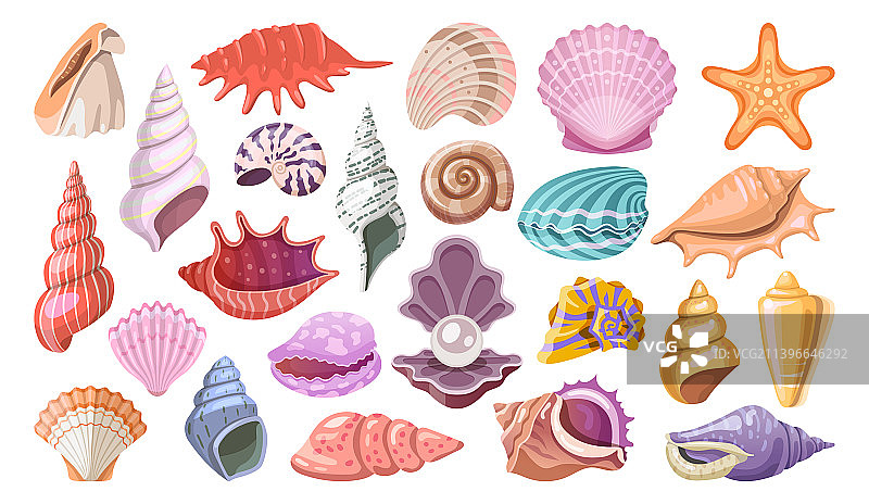 贝壳图标剪贴画合集图片素材