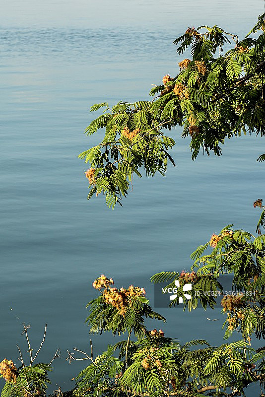 淮北南湖湿地公园风光图片素材