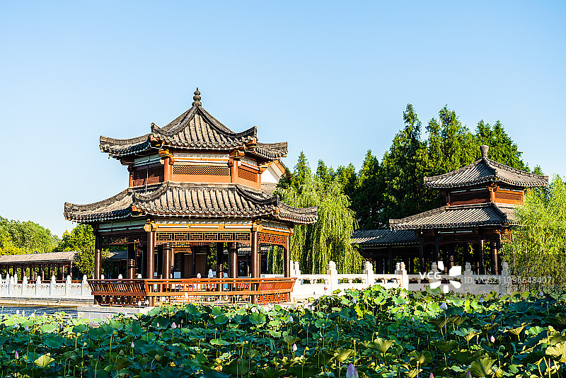 淮北南湖湿地公园风光图片素材