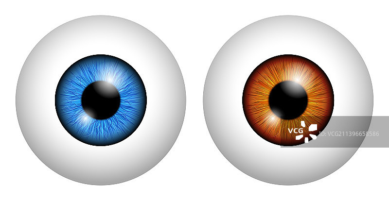 逼真风格人眼素材合集图片素材