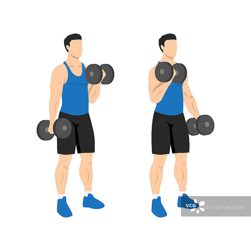 男人做交替哑铃弯举图片素材