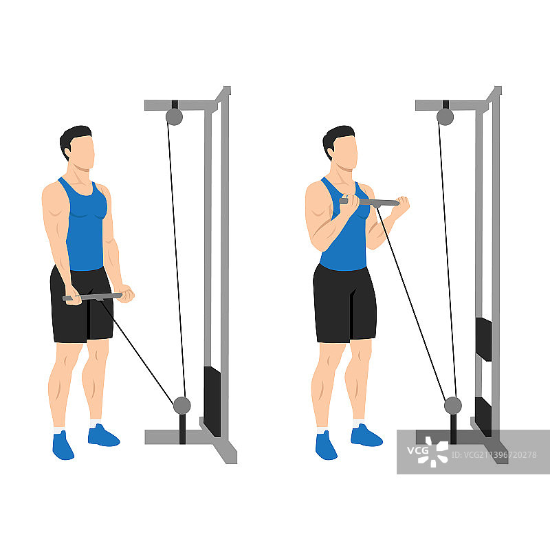 男人进行直杆低位滑轮绳索弯举图片素材