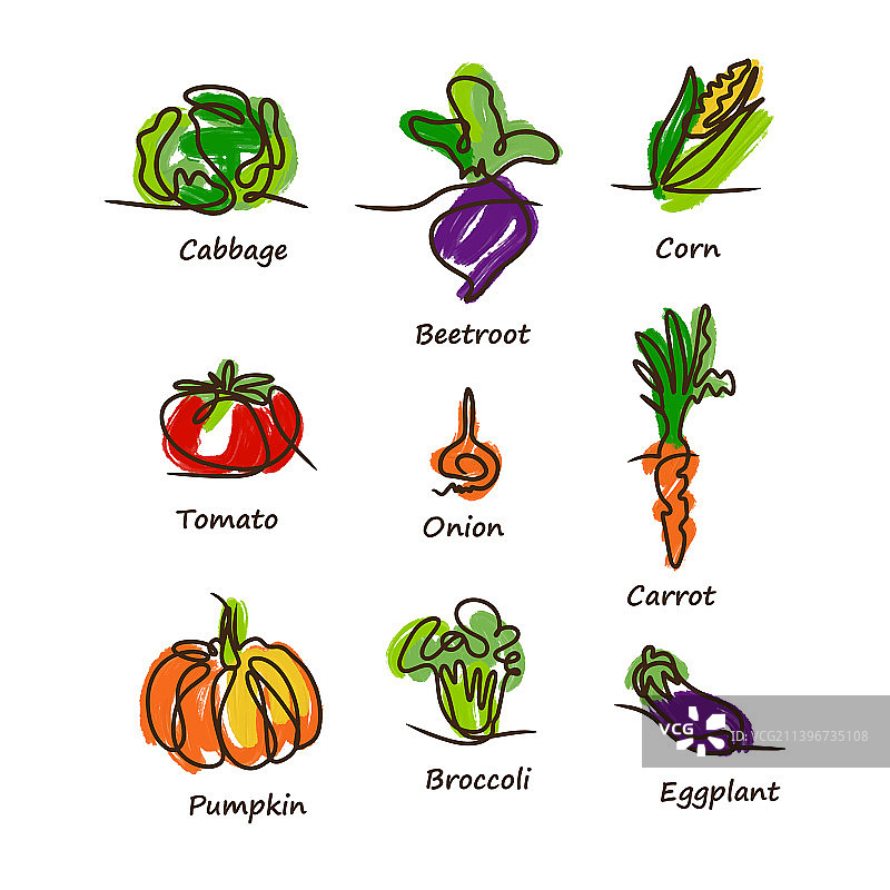 蔬菜合集：卷心菜、甜菜、玉米、番茄图片素材