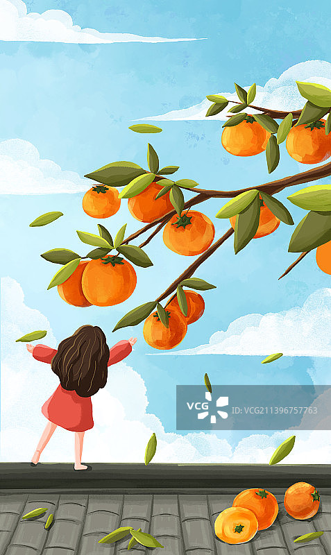 手绘风在屋顶摘柿子的小女孩插画图片素材