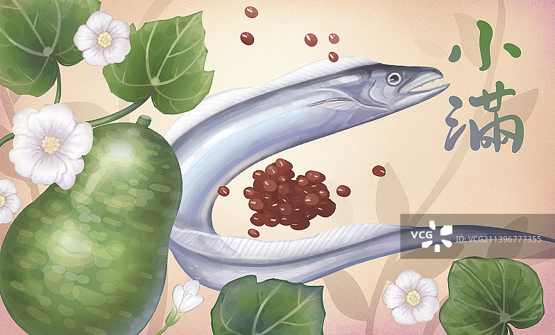 二十四节气,小满图片素材