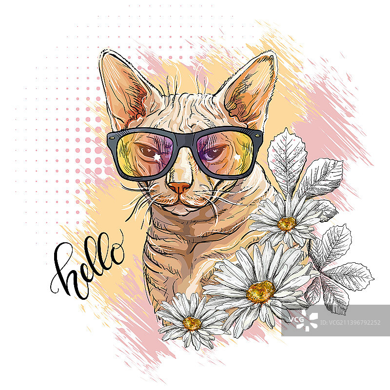 猫和鲜花的肖像图片素材