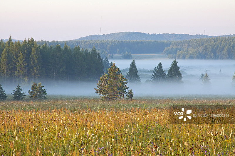 河北承德塞罕坝风光图片素材