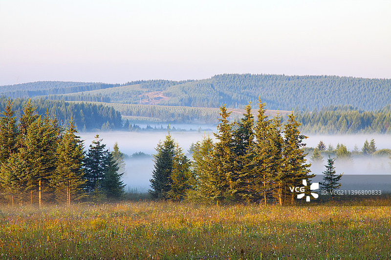 河北承德塞罕坝风光图片素材