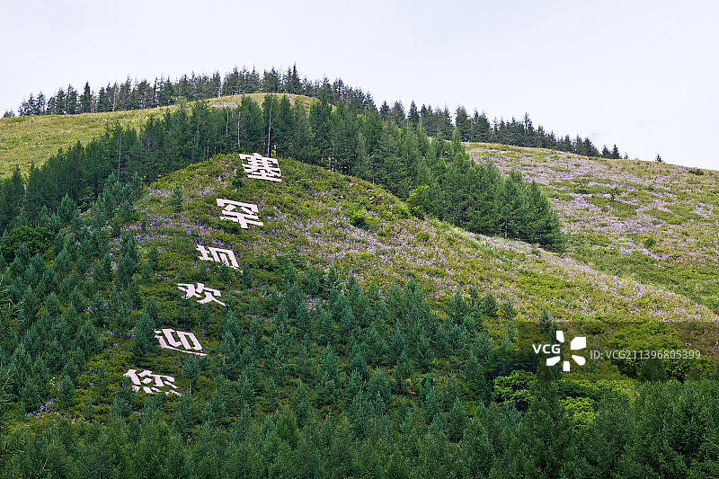河北承德塞罕坝欢迎您标语图片素材