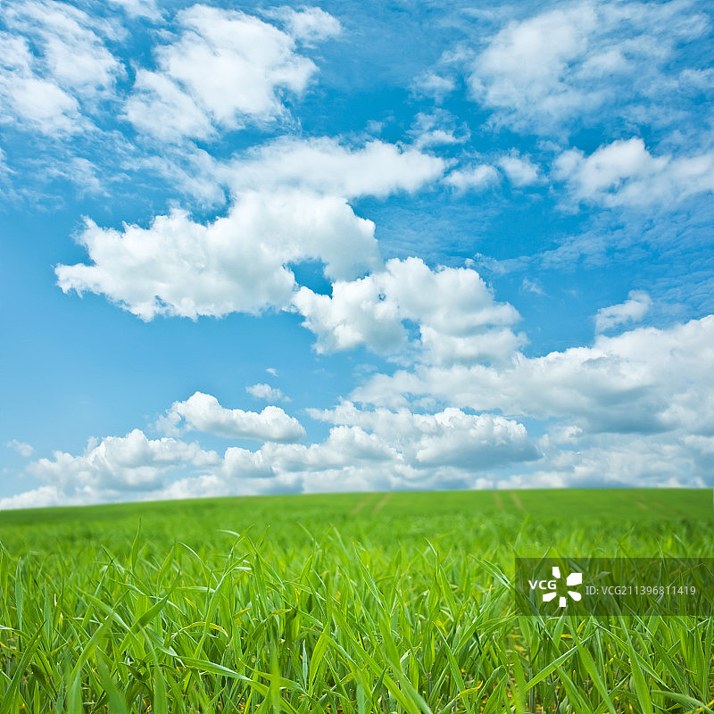 春季风景 - 自然之美图片素材