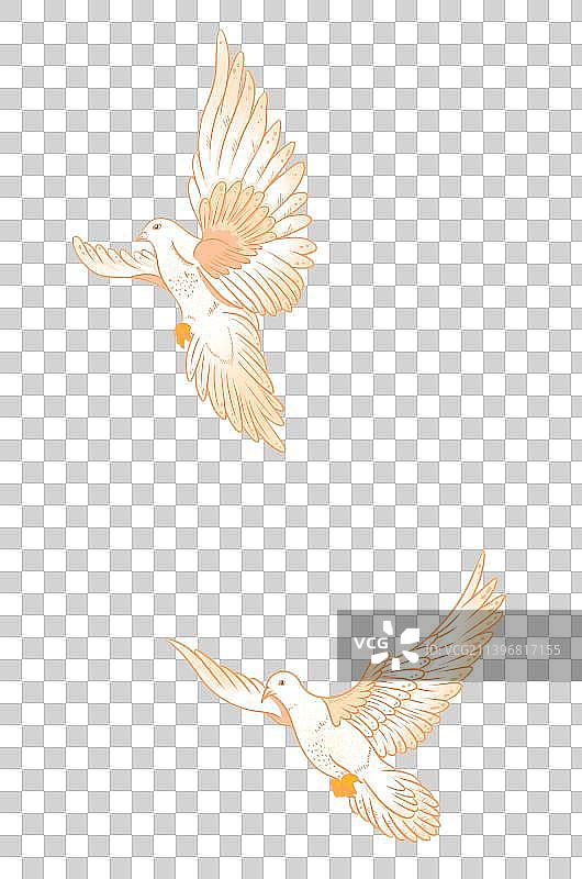 中国风鸽子鸟类元素图片素材