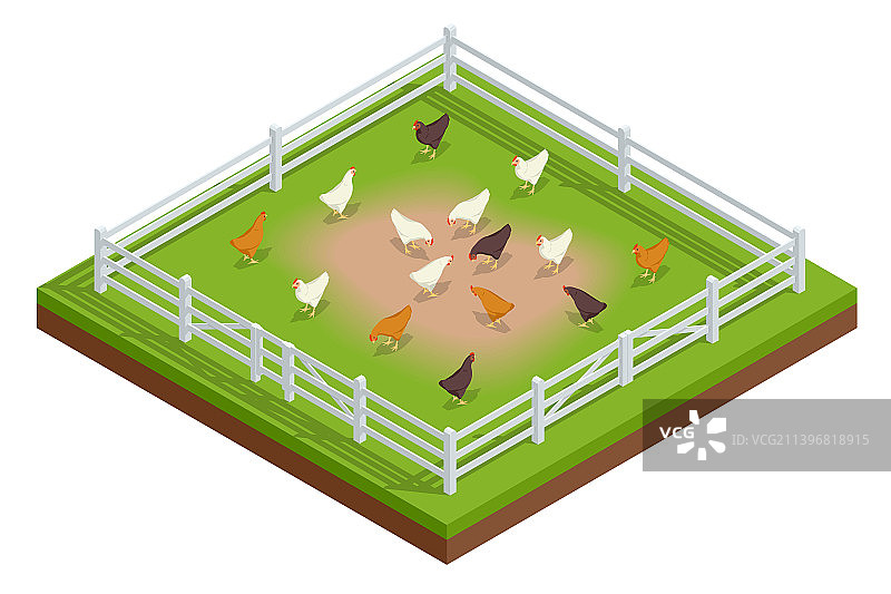 2.5D家禽养殖鸡舍图片素材