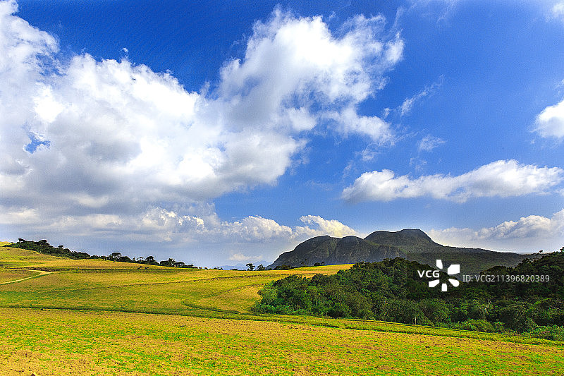 斯里兰卡中央省努沃勒埃利耶原野风光图片素材
