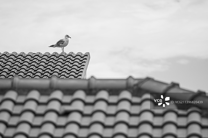 克罗地亚屋顶的低角度景观图片素材