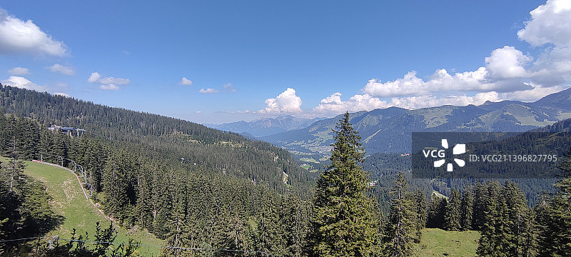 奥地利克莱恩瓦尔瑟塔尔的松树林全景图片素材