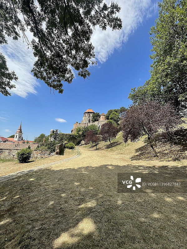 田野上的树木映衬着天空图片素材