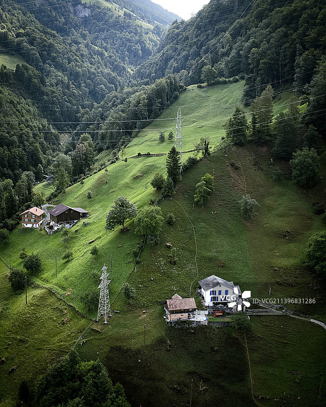 瑞士西西孔田野上的树木和房屋俯瞰图片素材