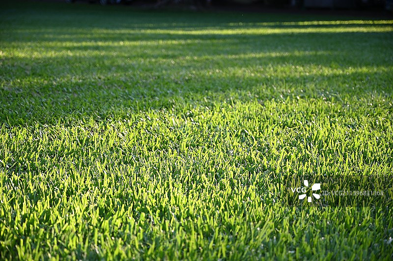 田野风光图片素材