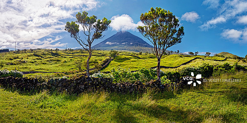 葡萄牙的田野风光图片素材