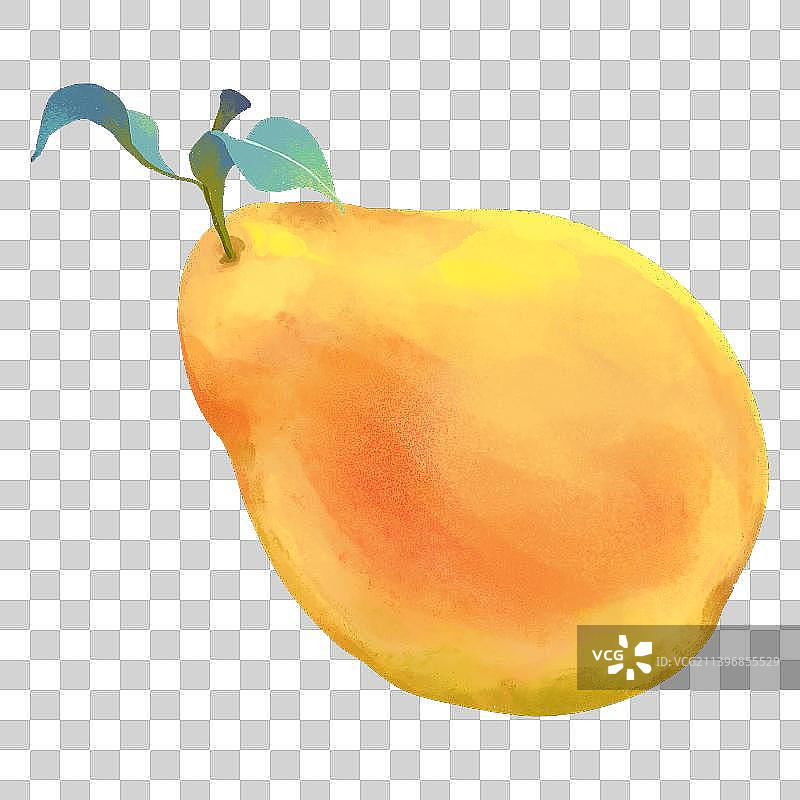 一只梨图片素材