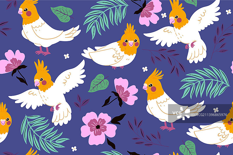 鸡尾鹦鹉图像无缝图案图片素材