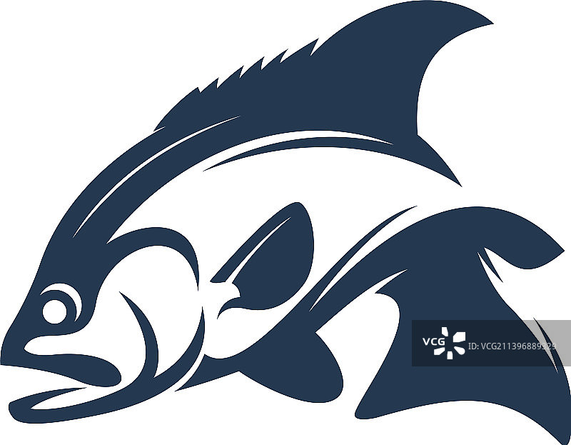 罗非鱼钓鱼模板图片素材