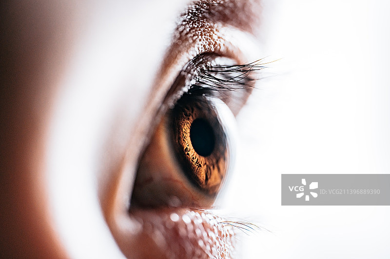瞳孔 眼睛图片素材
