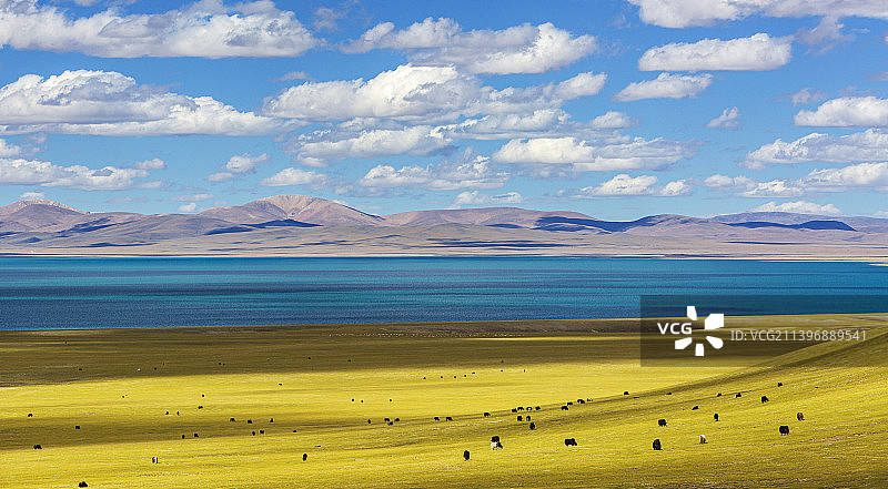 高原牧场图片素材