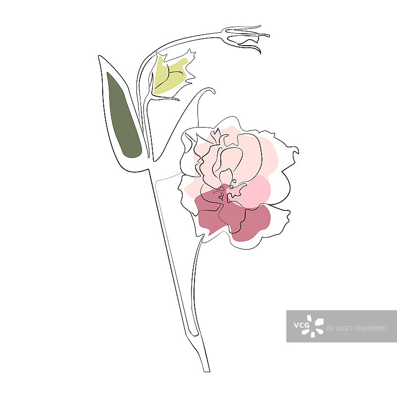 洋桔梗花朵线性图标图片素材