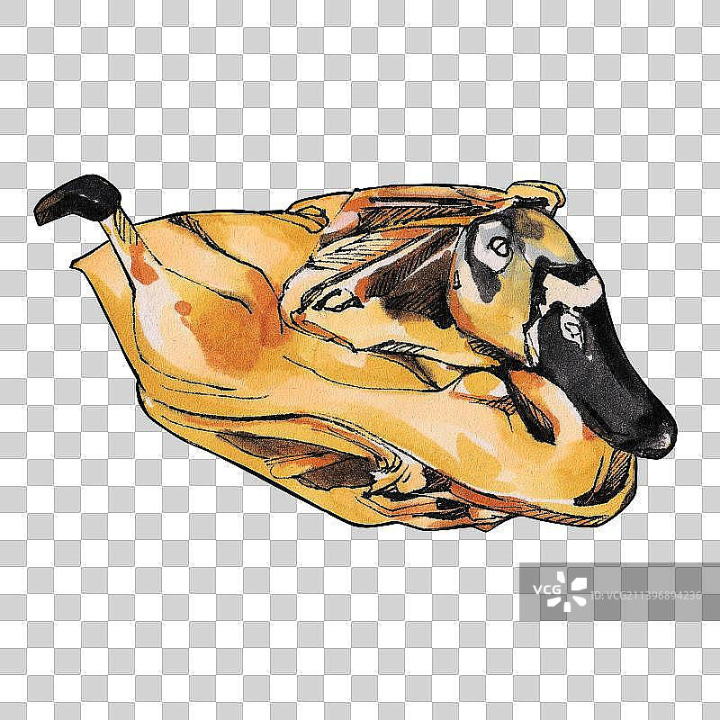 禽类料理 鸡鸭鹅肉 美味餐饮手绘菜单图片素材