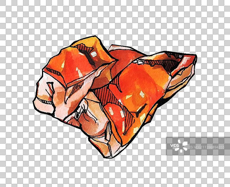 禽类料理 鸡鸭鹅肉 美味餐饮手绘菜单图片素材