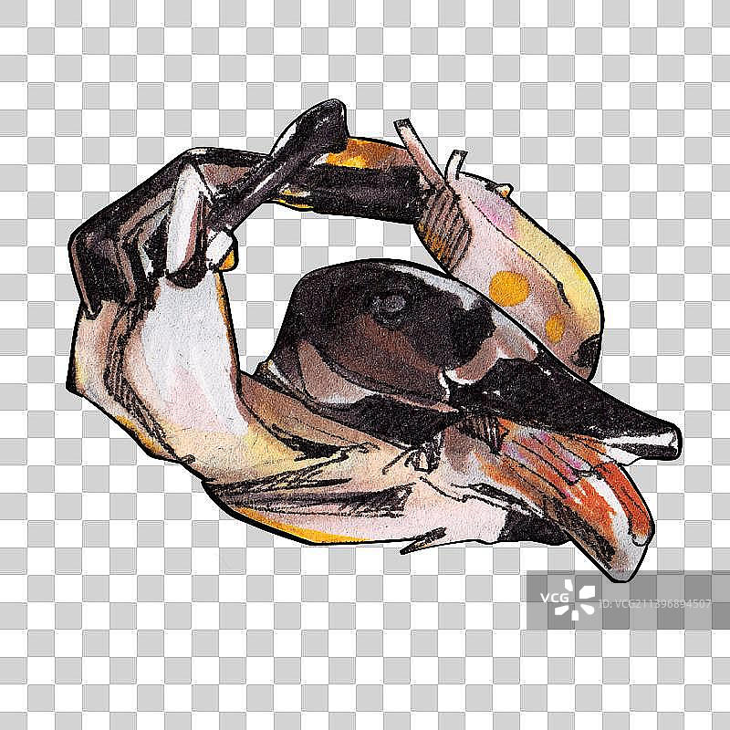 禽类料理 鸡鸭鹅肉 美味餐饮手绘菜单图片素材