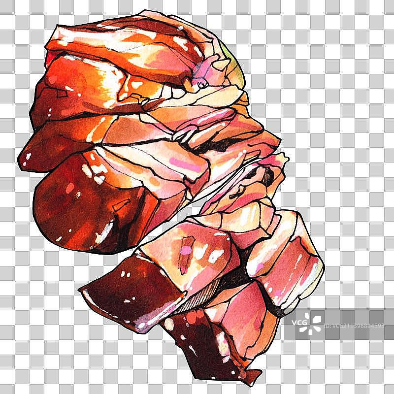 禽类料理 鸡鸭鹅肉 美味餐饮手绘菜单图片素材