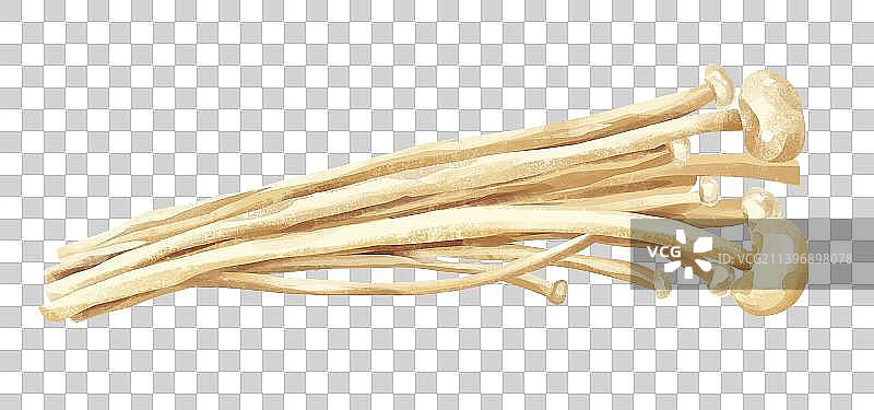 金针菇图片素材