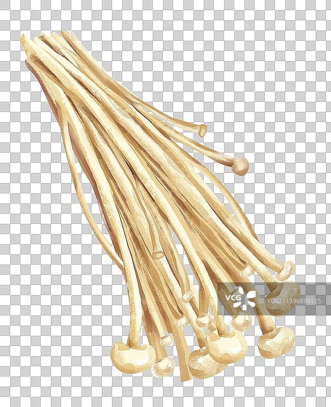 金针菇图片素材