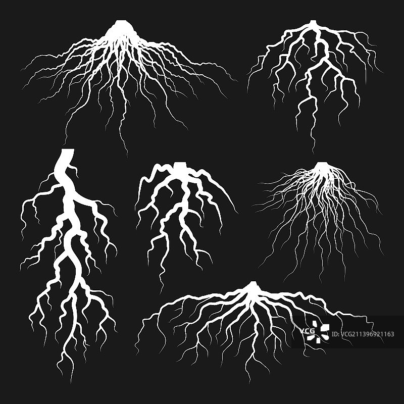 各种逼真的树或灌木根部图片素材