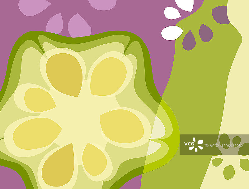 秋葵和种子的抽象蔬菜设计图片素材