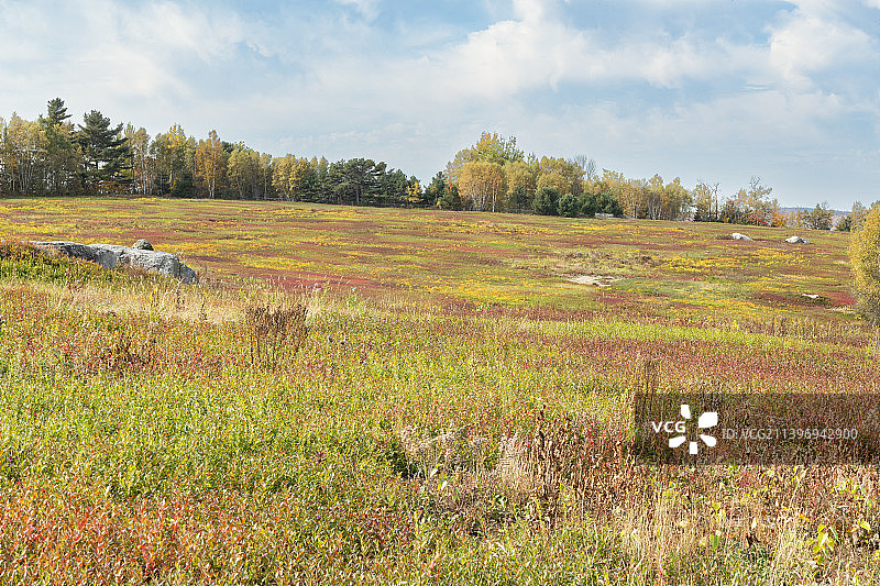 美国马基亚斯田野风光图片素材