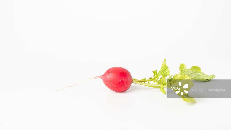 白色背景上带有绿色的萝卜特写图片素材