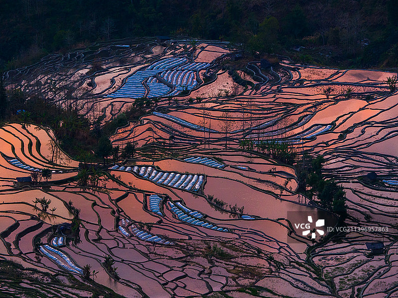 傍晚的中国云南省红河州元阳县元阳哈尼梯田老虎嘴图片素材