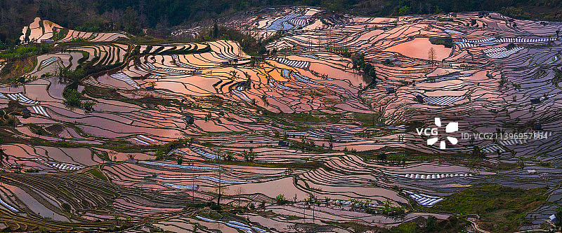 傍晚的中国云南省红河州元阳县元阳哈尼梯田老虎嘴图片素材