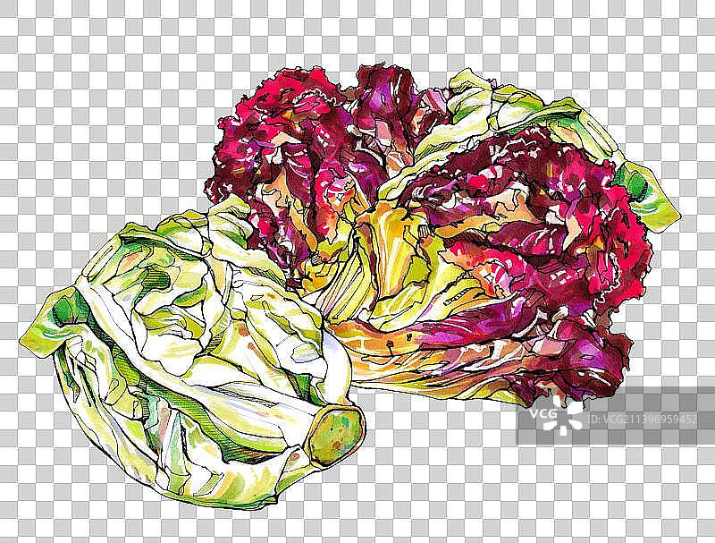 生菜 水果 蔬菜 有机 食物图片素材