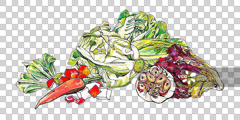 生菜 水果 蔬菜 有机 食物图片素材